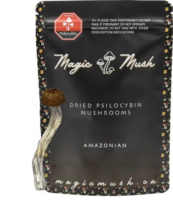 Amazonian Dried Magic Mushrooms