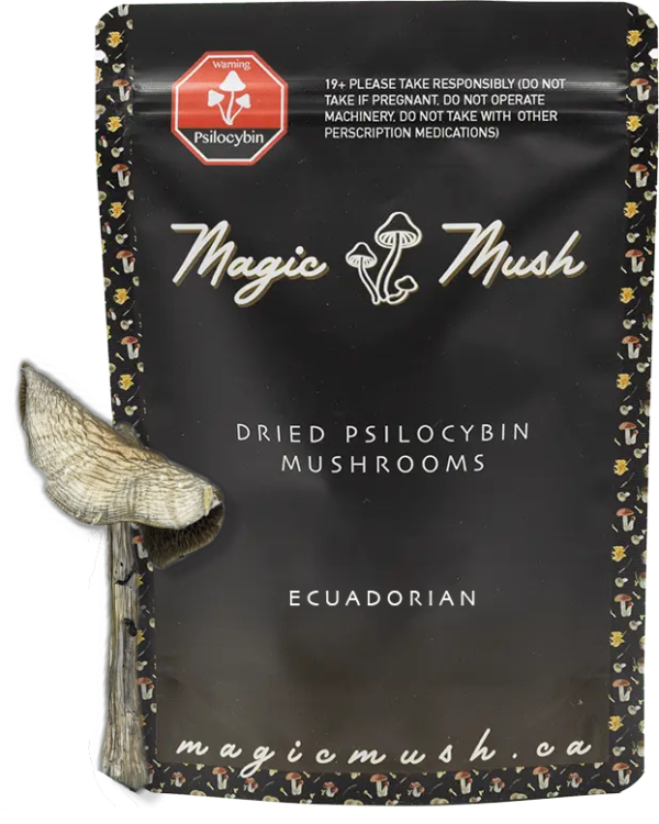 Ecuadorian Dried Magic Mushrooms