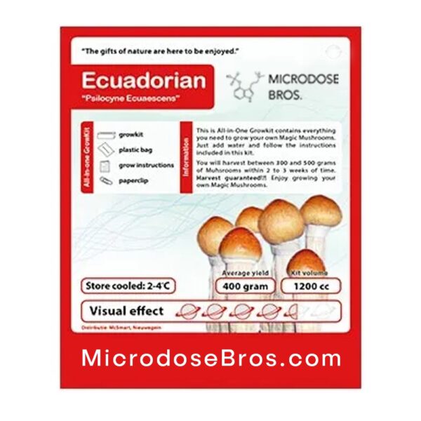 Ecuadorian Magic Mushroom Grow Kit - Image 3