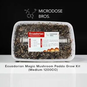 Ecuadorian  Magic Mushroom Grow Kit