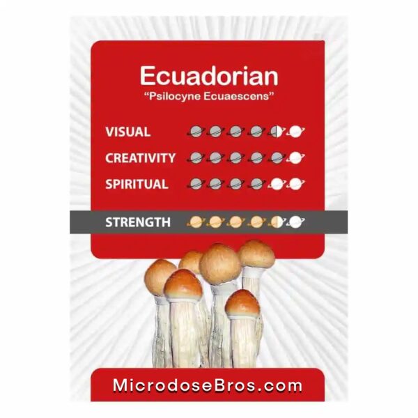 Ecuadorian Magic Mushroom Grow Kit - Image 5