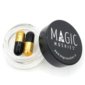 Magic Mushroom Nootropic Godzilla