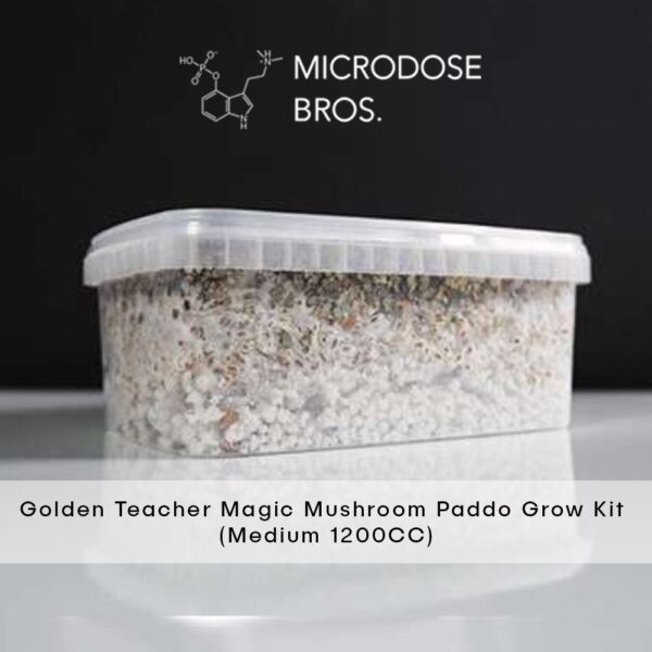 Golden Teacher Magic Mushroom Grow Kit - Image 5
