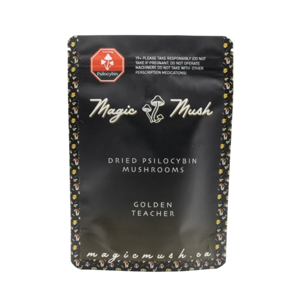Golden Teacher Magic Mushrooms (Dried) - Image 2