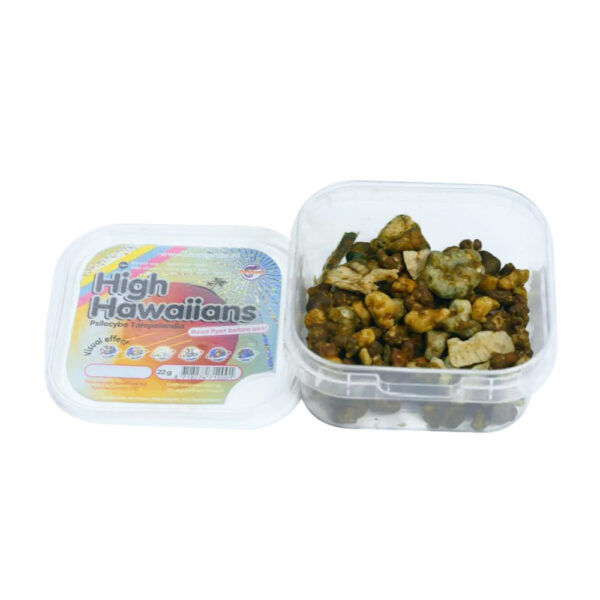 High Hawaiians Magic Truffles – 25 Grams - Image 3