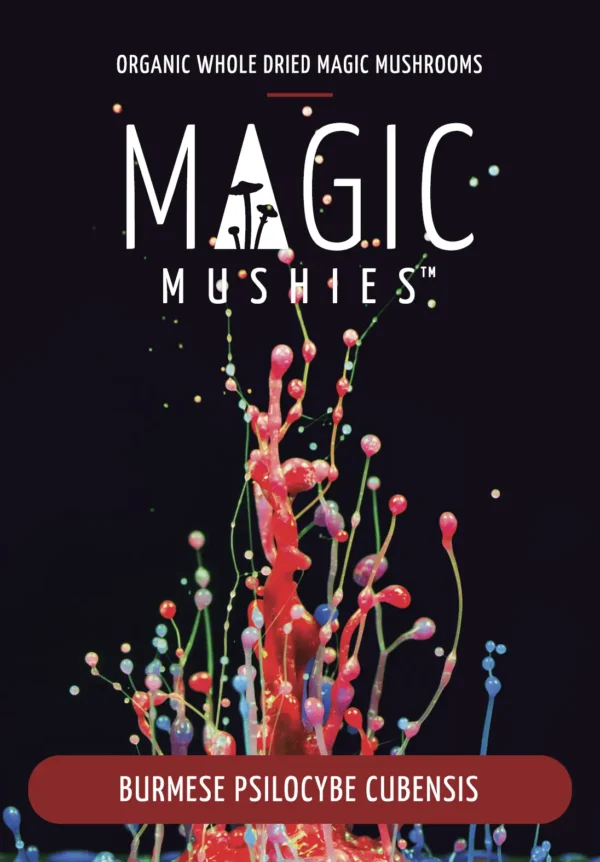 Burmese Magic Mushrooms - Image 2