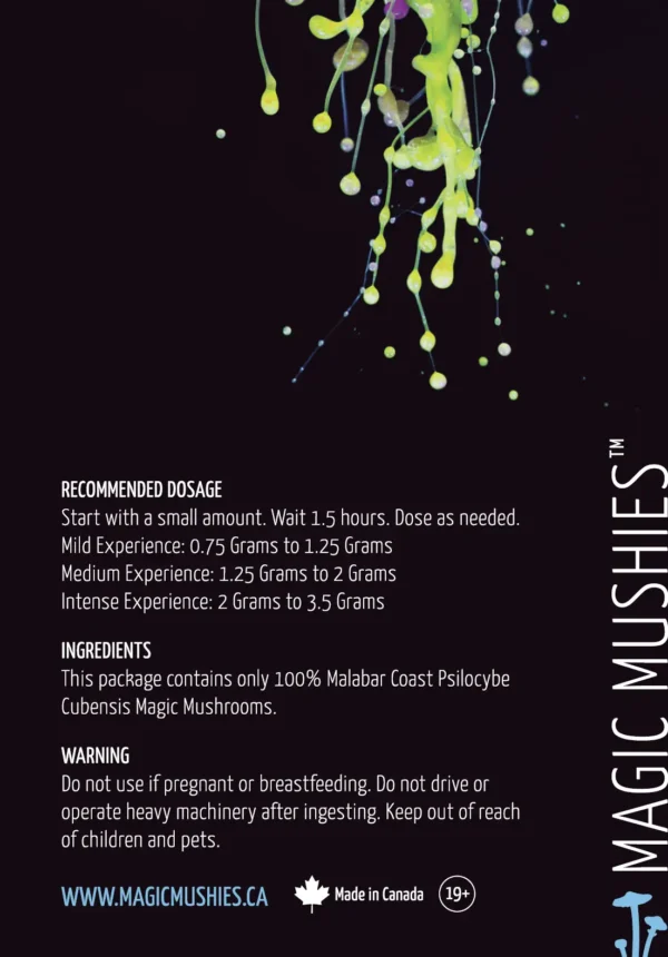 Malabar Coast Magic Mushrooms (Premium) - Image 3