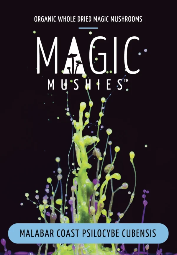 Malabar Coast Magic Mushrooms (Premium) - Image 2