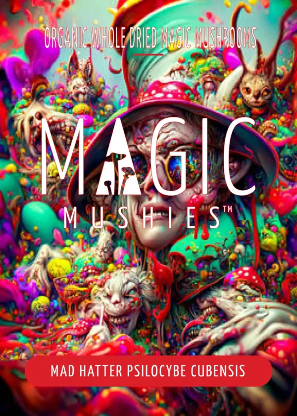 Mad Hatter Magic Mushrooms | Very Intense (PREMIUM) - Image 4