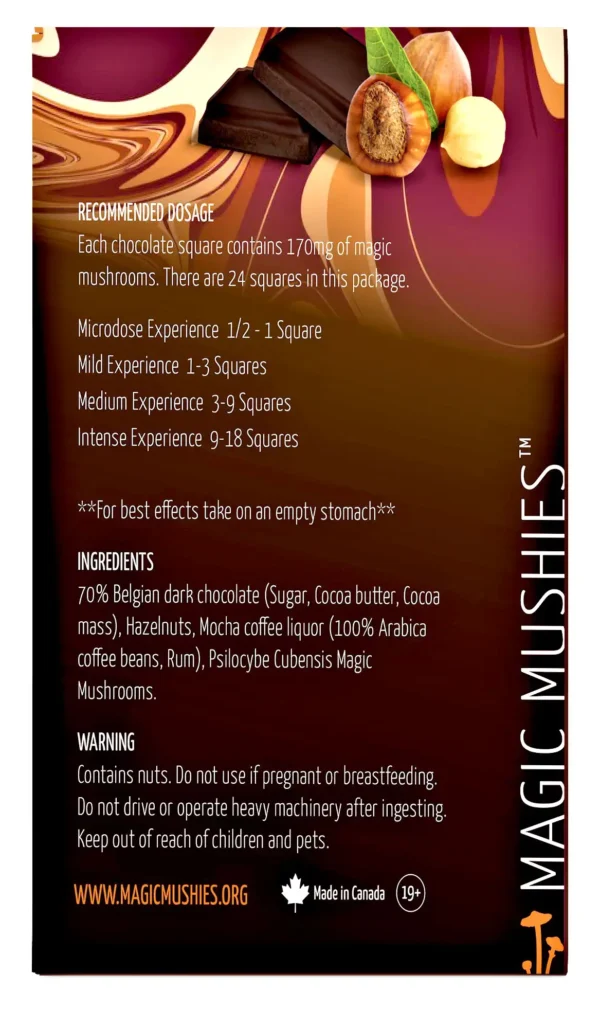 Magic Mushroom Mocha Hazelnut Dark Chocolate Bar | 4000 mg - Image 3