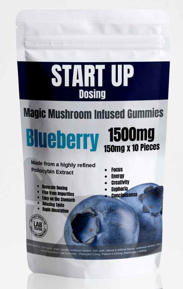 Blueberry Magic Mushroom Gummies