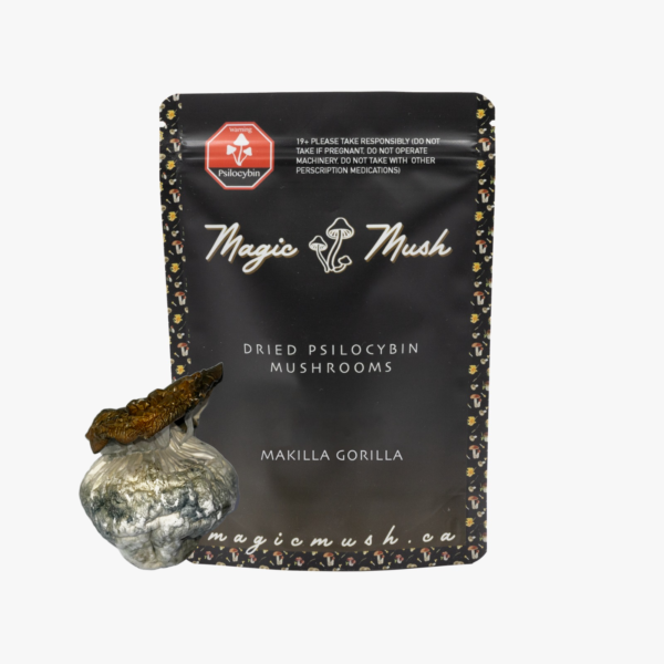 Makilla Gorilla Dried Magic Mushrooms