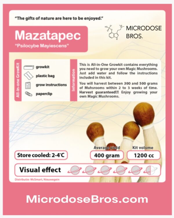 Mazatapec Magic Mushroom Grow Kit - Image 5