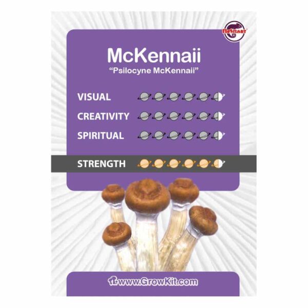McKenaii Magic Mushroom Spores - Image 3