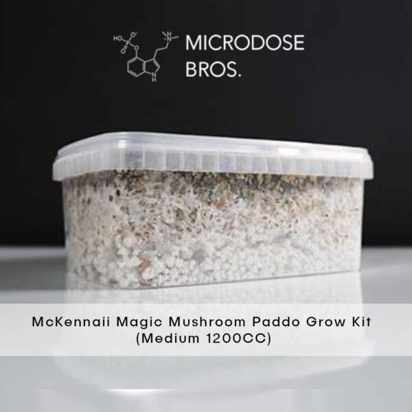 McKennaii Magic Mushroom Grow Kit - Image 4