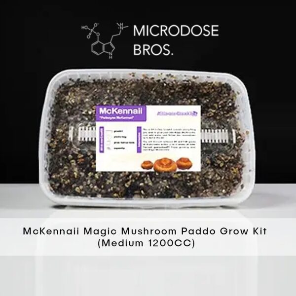 McKennaii Magic Mushroom Grow