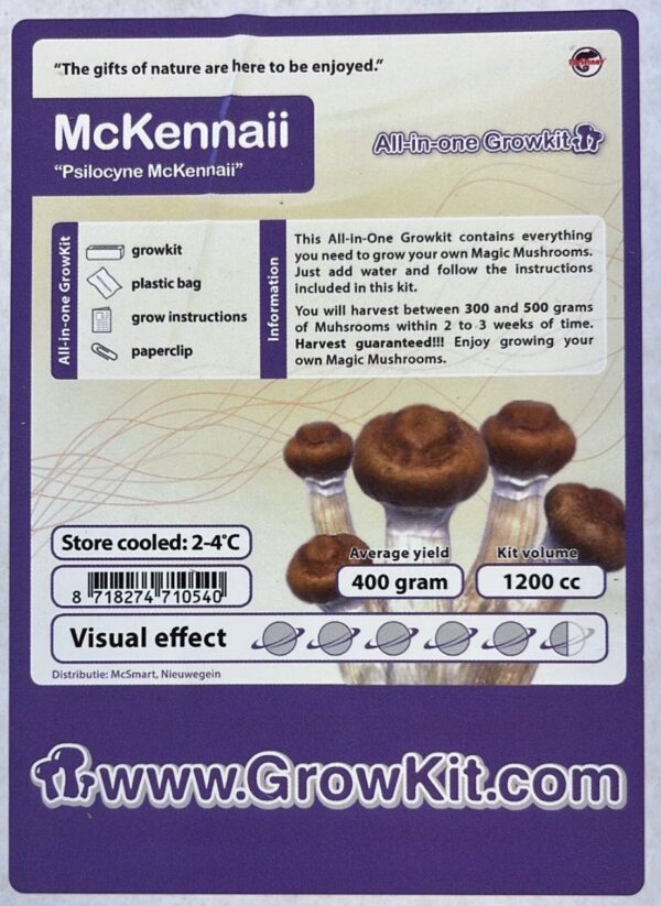 McKennaii Magic Mushroom Grow Kit - Image 3