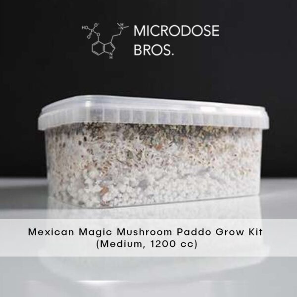 Mexican Magic Mushroom Grow Kit - Image 6