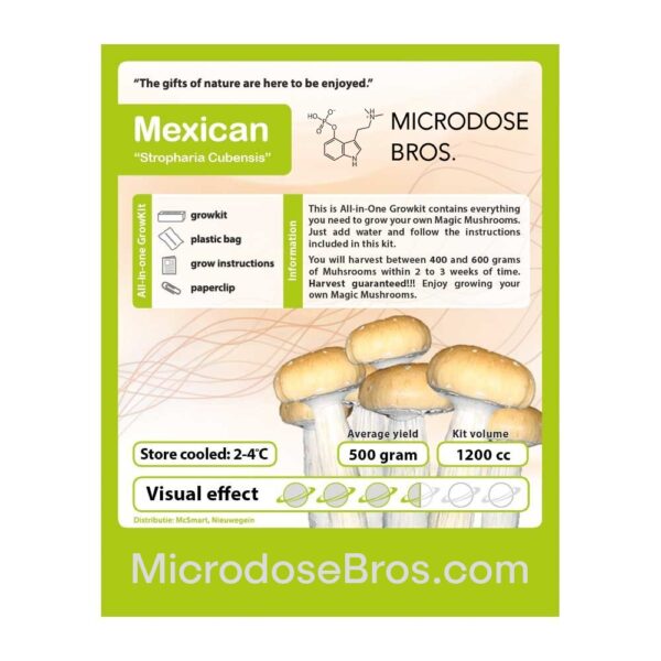 Mexican Magic Mushroom Grow Kit - Image 4