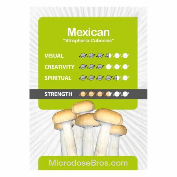 Mexican Magic Mushroom Grow Kit - Image 5