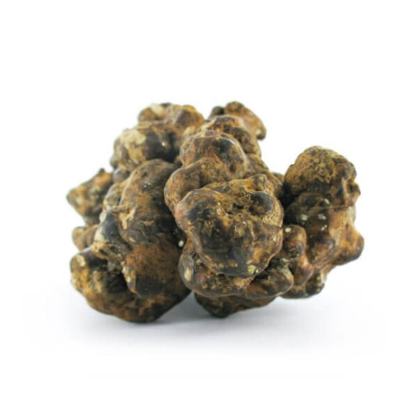 Magic Truffles Pandora – 15 Grams - Image 4