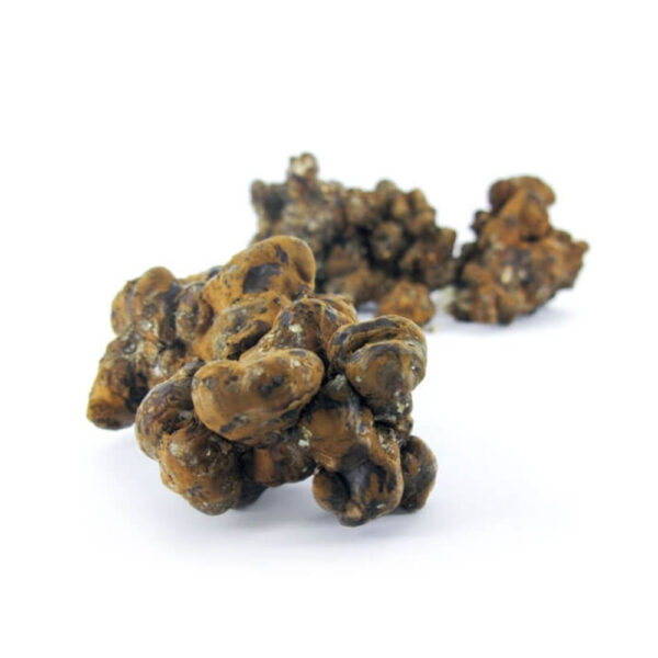 Magic Truffles Pandora – 15 Grams - Image 3