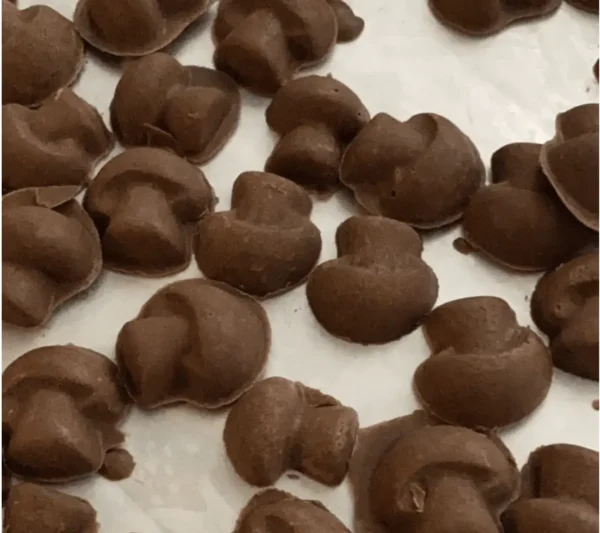 Belgian Dark Chocolate Shrooms 2000mg - Image 3