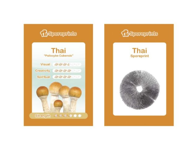 Thai Sporeprint - Image 3