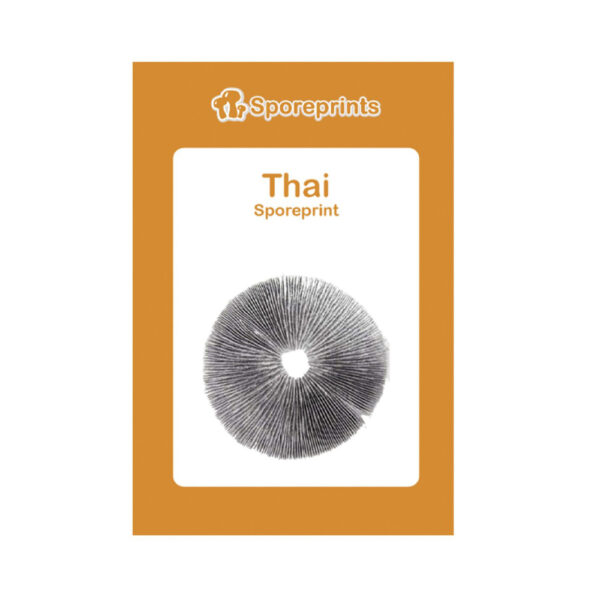 Thai Sporeprint - Image 2
