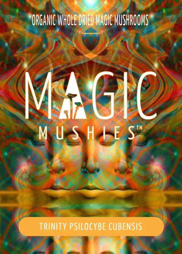 Trinity Magic Mushrooms (Premium) - Image 2