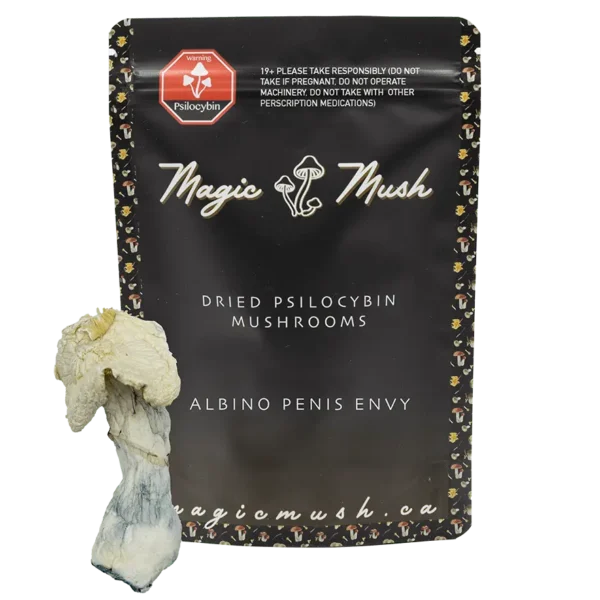 Albino Penis Envy Magic Mushrooms