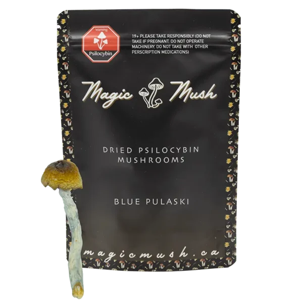 Blue Pulaski Magic Mushrooms