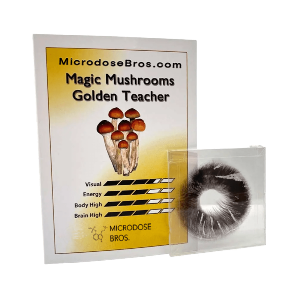 Golden Teacher Magic Mushroom Sporeprint