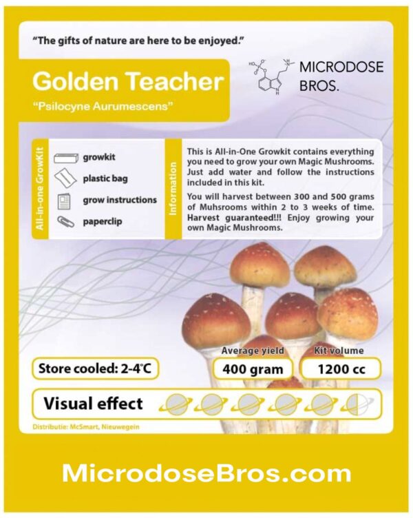 Golden Teacher Magic Mushroom Grow Kit - Image 4