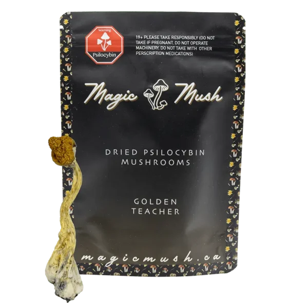 Golden Teacher Magic Mushrooms