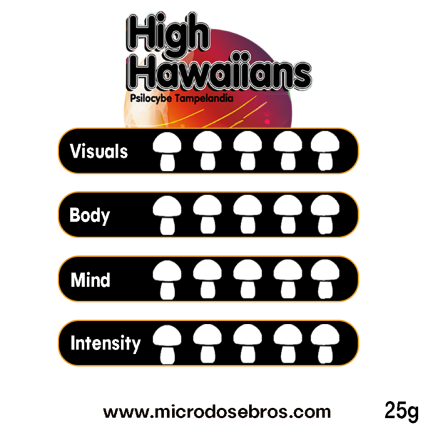 High Hawaiians Magic Truffles – 25 Grams - Image 2