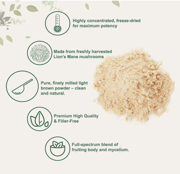 Lion’s Mane Mushroom Extract (100 grams powder) - Image 2