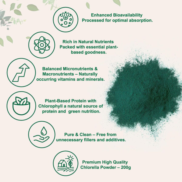 Chlorella Powder – 200 Grams - Image 2