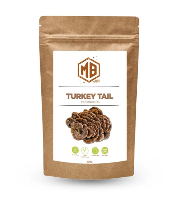 Turkey Tail Mushroom Extract