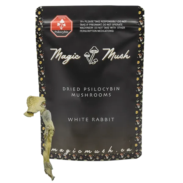 White Rabbit Dried Magic Mushrooms