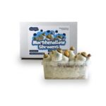 The Marshmallow Shrooms Growkit