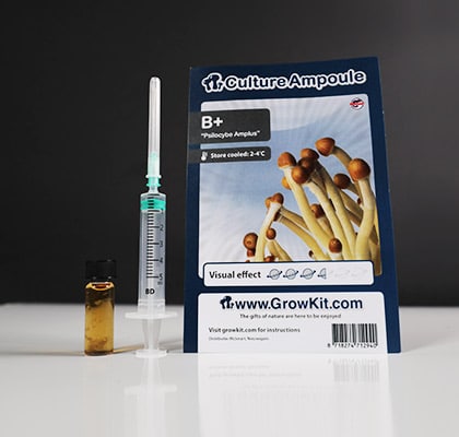 B-Mushroom-Spore.jpeg B Magic Mushroom Spores