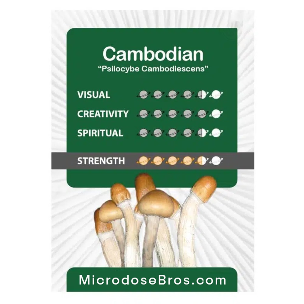 Cambodian-Magic-Mushroom-Paddo-Grow-Kit-3.jpg