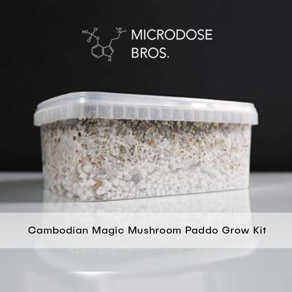 Cambodian-Magic-Mushroom-Paddo-Grow-Kit-4.jpg
