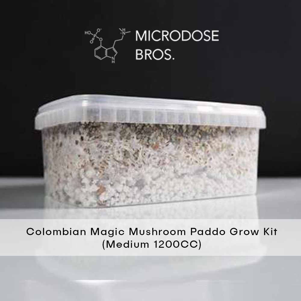 Colombian-Magic-Mushroom-Paddo-Grow-Kit-1.jpg