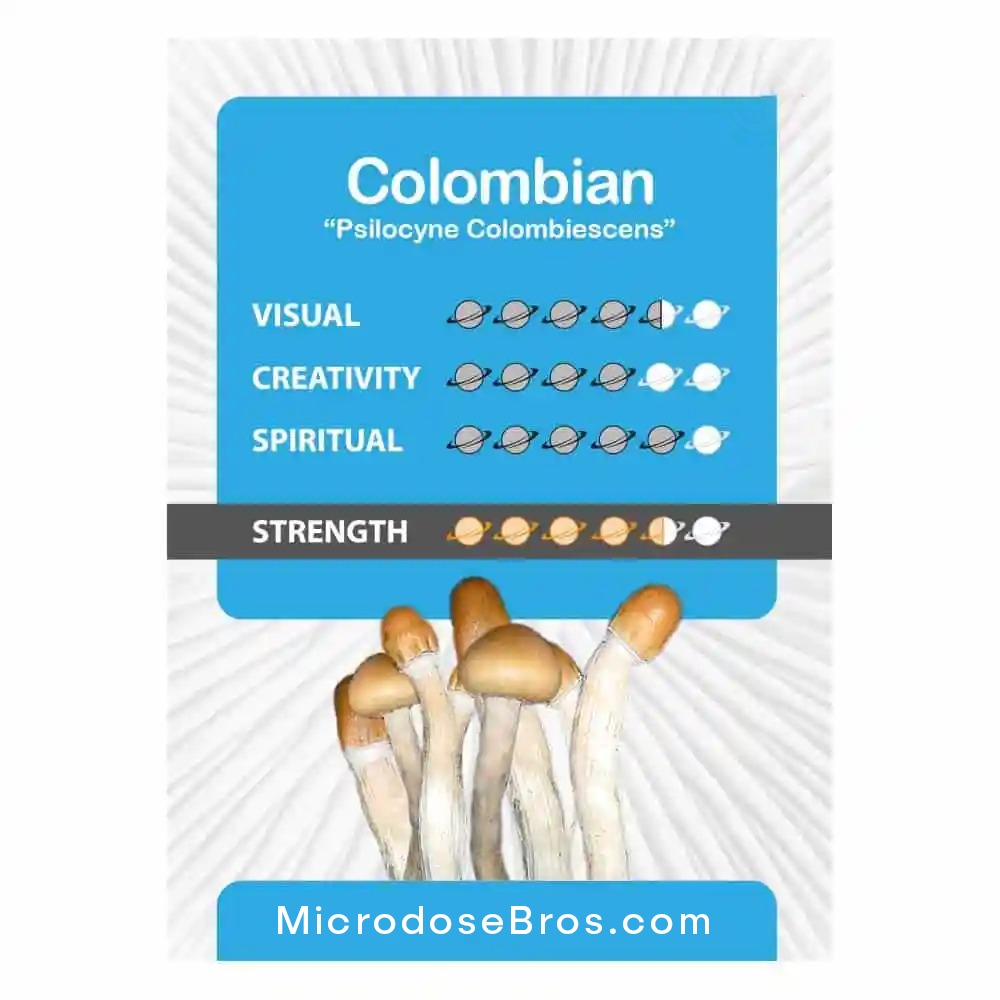 Colombian-Magic-Mushroom-Paddo-Grow-Kit-2.jpg