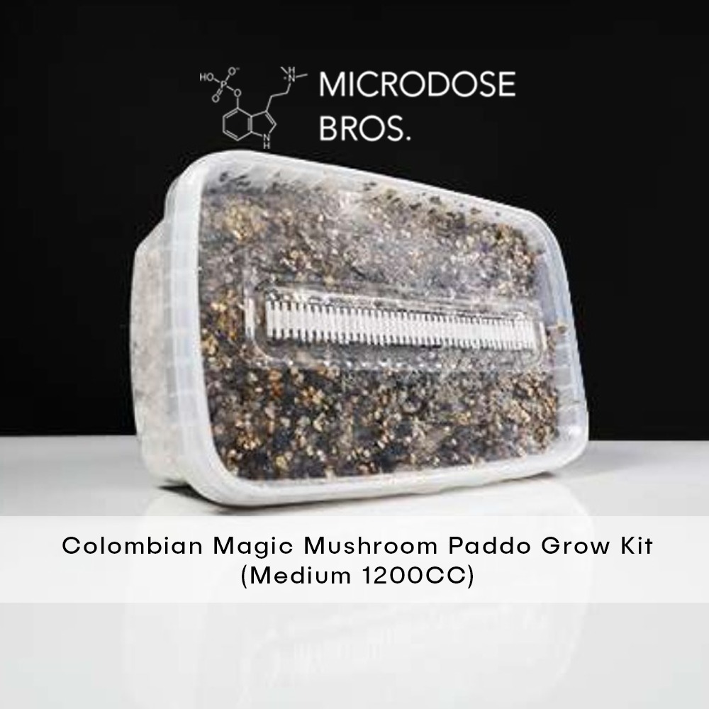 Colombian-Magic-Mushroom-Paddo-Grow-Kit-3.jpg