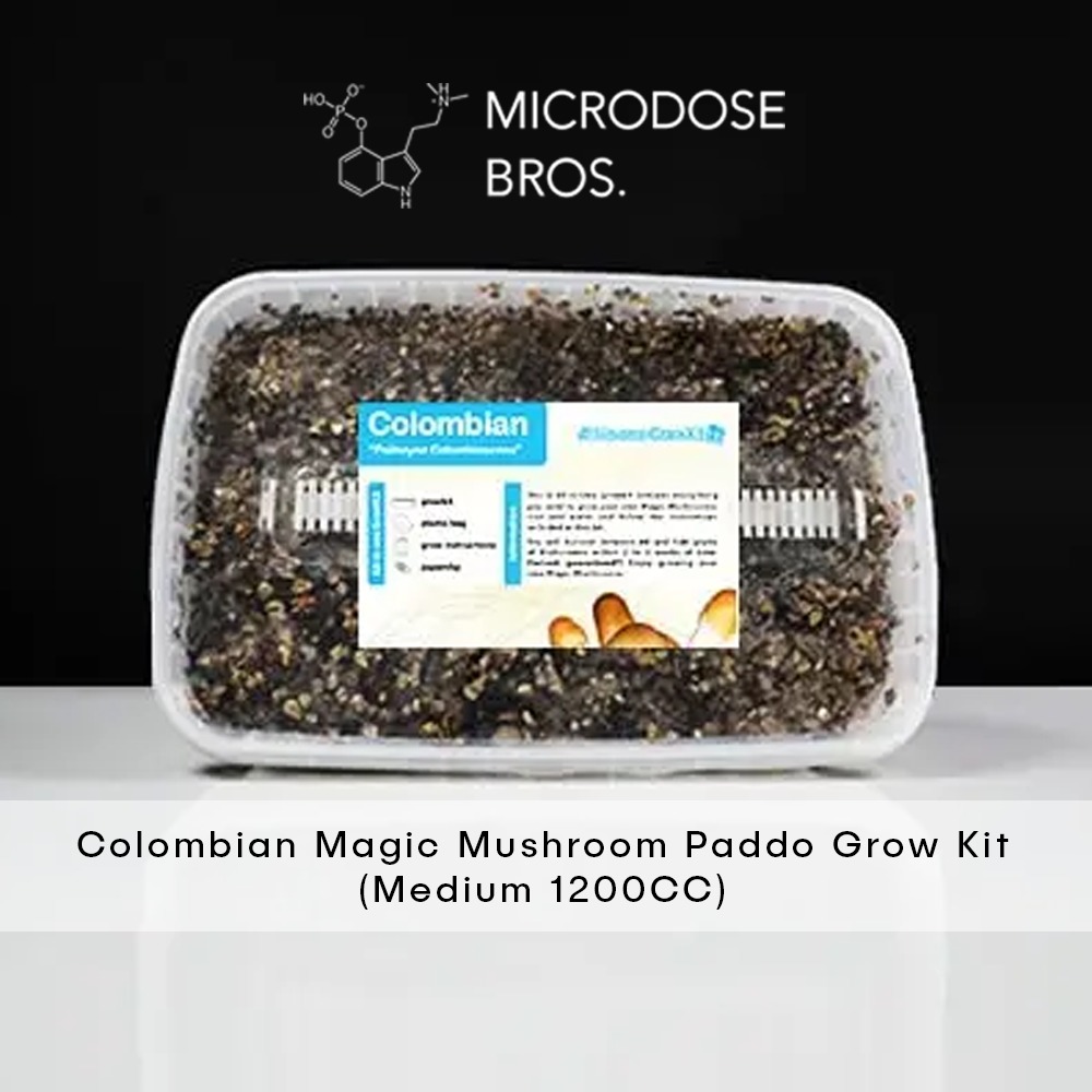 Colombian-Magic-Mushroom-Paddo-Grow-Kit-4.jpg Colombian Magic Mushroom Grow Kit
