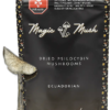 Ecuadorian Dried Magic Mushrooms