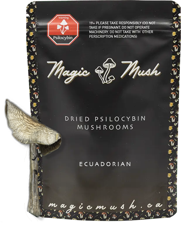 Ecuadorian.png Ecuadorian Dried Magic Mushrooms